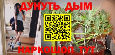гидра Будённовск