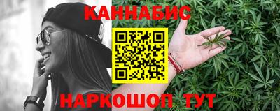 гидра Будённовск
